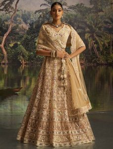 Dark Cream Soft Net Wedding Wear Designer Lehenga Choli - Fabanza